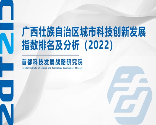 操BXX在线免费观看【成果发布】广西壮族自治区城市科技创新发展指数排名及分析（2022）